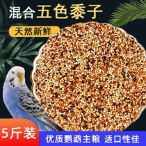 Parrot feed bird grain tiger skin peony Xuanfeng small and medium-sized parrot bird food five-color millet mixed grain millet 5kg