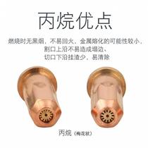 Standard weight G01-30 100 300 acetylene cutting nozzle propane cutting nozzle annular liquefied gas gas cutting torch cutting nozzle