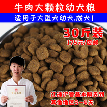 Bear Two Homemade Grain Despasta Smorabrado Haschi Large Canine Dog Food Teddy Pooh Kumu
