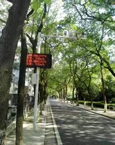 Fixed car speed measurement automatic camera overspeed display speed number plate recognition speed limit capture Haikang