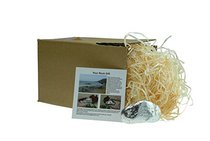 Pirantin Boyfriend You are My Rock Gift Idea - Sol