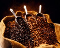 Medium Roast (Full City  ) 2 5 pounds Whole Beans