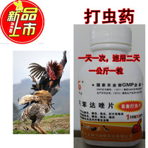 Fighting Chicken Supplies Fighting Chicken Training Supplies Fighting Chicken Pitchcock Fighting Cocks For Lean Beat In The Body And Worms In The Body.