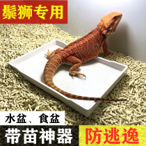 Reptile Water Basin Mane Lion Lizard Cumin Small Fry-Tortoise Corner Frog Patron Turtle rearing Box Climbing Box Drinking Water Tray