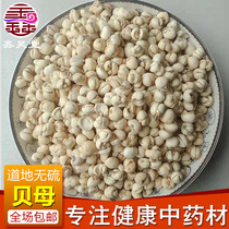 Small sharp shell 500g ~ 5kg Sichuan Fritillaria pine Fritillaria pine Fritillaria