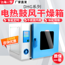 Shanghai Yiheng DHG-9030A 9070A 9140A electric heating constant temperature blast drying oven laboratory oven