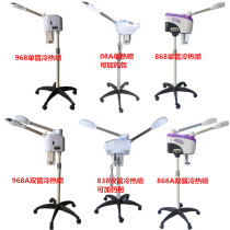 Herbal double-tube hot and cold sprayer beauty salon household face steamer beauty instrument facial moisturizing humidifier hot water cup