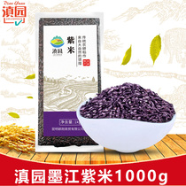 Yunnan specialty Dianyuan Mojiang purple rice 1000g whole grain purple glutinous rice grains