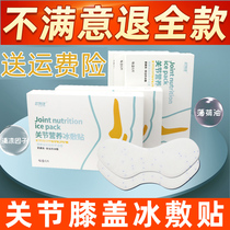 Knee Ice Application Ice Pack Ice Patch Cold Compress Stick Basketball Knee Joint Nutraceutical Icing Stick Cold Compress Stick