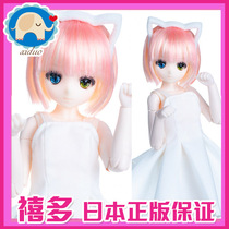  Xiduo]obitsu doll 1 6 ob6 points tail cabinet uniform plan Sekigaya white cat ver ultra white skin