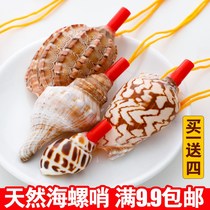 Natural conch horn childrens shell toy small snail super large conch shell crafts can blow the horn whistle