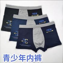 Teen boys student underpants junior high school boy little boy mid-waist four-corner pants cartoon breathable trendy shorts