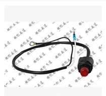 Yum Hang Kay Shunfeng Yamaha Seas outboard engine outboard motor propeller stall button