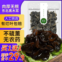 Northeast specialty products follow the flavor Northeast black fungus Heilongjiang specialty rootless meat thick autumn fungus dry goods 200g