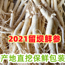 Liuba American ginseng fresh Qinling Hanzhong American ginseng ginseng soak wine sliced vacuum fresh American ginseng