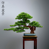 Chinese-style thuja simulation welcoming pine fake tree bonsai living room office porch decoration model room landscaping decoration