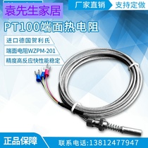 WZPM-201 end face thermal resistance Pt100 end face resistance temperature probe temperature sensor M8 * 0 75