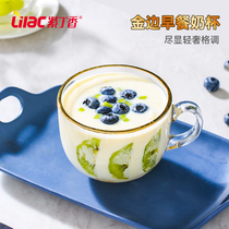 Large capacity Phnom Penh breakfast cup cereal bowl glass Oatmeal cup household milk mug gold thick fashion