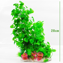 Water grass fish tank turtle tank can be used to simulate grass turtle tank landscape water grass background large grass stem sky blue green green