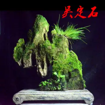 太湖石吸水置石-太湖石吸水置石促销价格、太湖石吸水置石品牌- 淘宝