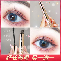 Kazilan Big Eyes Mascara female waterproof slender curl shape non-dizziness extended encryption big name