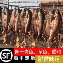 Shunfeng Hubei Honghu City chicken duck bacon grass carp grass carp bacon Shunfeng whole gift