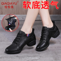 Cha Cha Fish Square Dance Shoes Womens Soft Bottom Leather Mesh Black Dance Shoes Summer Middle-aged Dance Shoes Breathable