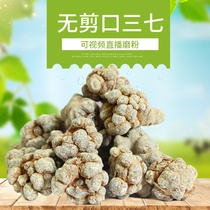 No cut mouth 20 head 30 head 60 notoginseng Yunnan Wenshan Super 500 gram Tianqi 37 can substitute grinding ultra fine powder
