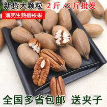 Large original raw big root fruit 500g bulk cream longevity fruit Pecan baked nuts 5 kg whole box 10 kg