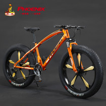 Phoenix snow bike mens and womens 4 0 extra large wide tire mountain off-road beach variable speed shock absorption road bike