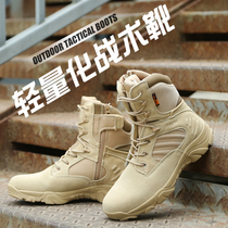 Delta mens and womens high-top low-top desert boots Special forces combat boots Desert boots Tactical marine boots mountaineering shoes