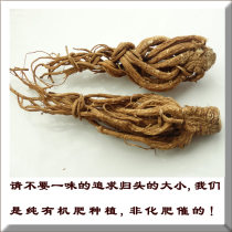 Yunnan ecological angelica Qingui Lijiang Chinese herbal medicine Mountain dry natural dried zero pollution 50 grams 10 servings