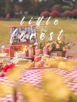 Spring Tours Outdoor Picnic Mat Supplies Suburban portable picnic cloth Anti-water cushion Wild Cooking cushions Inwind nets Red anti-damp cushion