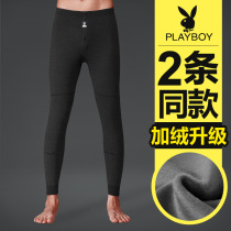 Flowers Playboy Mens Warm Pants Garnter Thickened Cotton Pants Underpants Beating Bottom Tight Swoon Pants Fur Pants Autumn Pants Winter