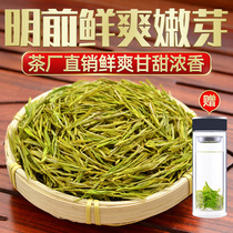 Anji white Tea Golden Bud tea premium 2021 new tea authentic Mingqian Alpine Green tea spring tea leaves bulk 500g
