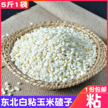 Northeast white corn big ballast white corn residue 5kg 1 part sticky big ballast sticky corn corn ballast