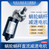 Model jm-039 high-end worm gear motor 24v DC geared motor motor 100W high torque