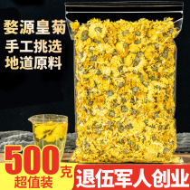 Authentic Huangshan Gongju 500g Wuyuan Imperial Chrysanthemum yellow bulk sold separately premium wild Tongxiang fetal Chrysanthemum grass tea