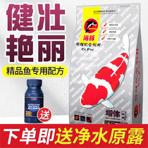 Dolphin koi goldfish feed breeding color increase body color increase Koi fish food particles Koi feed is not muddy water