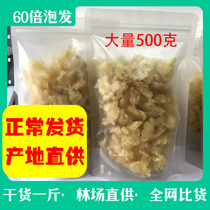 Snow clam Tongrentang Super Jilin Frog Oil Changbai Mountain Papaya Stew Xueha Ointment Flagship Store Dry Goods 500g