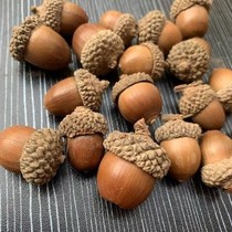 (Acorn) Acorn Acorn Decoration Handmade Dried Flower Pendant Literary Dried Flower Dried Fruit Flower Arrangement Acorn With Nails Can Be Hanging