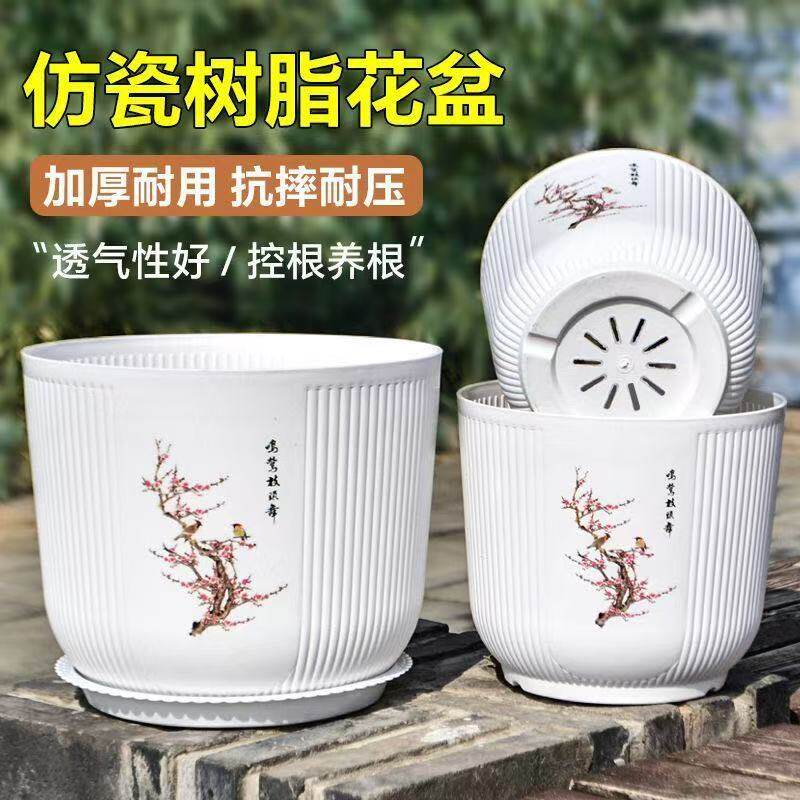 大型梅花盆景盆-大型梅花盆景盆促销价格、大型梅花盆景盆品牌- 淘宝