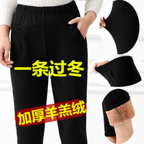 Middle-aged and elderly female spring and autumn trousers mother pants winter cotton trousers plus velvet thick loose grandma warm outside wearing straight tube