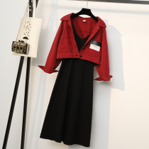 Pregnant womens autumn dress 2021 Spring and Autumn new large-size suit fashion out two-piece skirt women