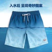 Cover waves blue gradient holiday beach pants men quick-drying loose size casual shorts flat corner mens swimming trunks plain flowers