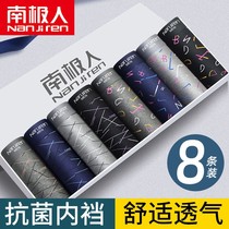 South Pole Underpants mens 100% pure cotton flat angle pants antibacterial and no-dent four-corner pants guys breathable big-code shorts head