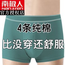 South Pole mens underwear pure cotton breathable anti-bacterial four-corner pants head flat corner briefs mid-pants 100 cotton