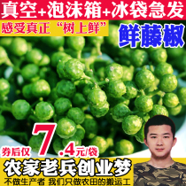 Fresh rattan pepper 350g * 7 packs of fresh green pepper Fresh pepper Chongqing Jiangjin vacuum fresh pepper raw sesame pepper fish Sichuan