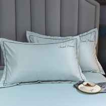 Washed ice silk pillowcase pair of clothing pure color pillowcase 48cmx74cm single home big number pillow inner liner cover