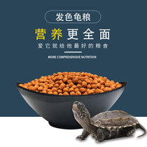 Tortoise hair color turtle food tortoise color feed flame yellow throat yellow edge red egg Turtle red material